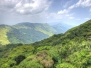 Landscapes